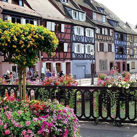 Colmar,Appart Chaleureux 2 Pas Centre Avec Jardin Exterior photo