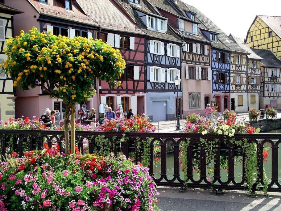 Colmar,Appart Chaleureux 2 Pas Centre Avec Jardin Exterior photo